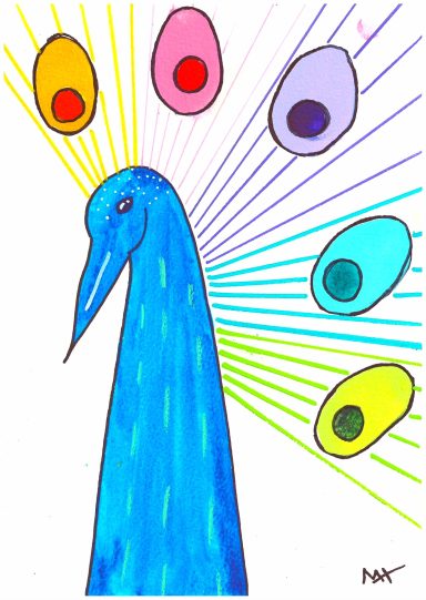 Rainbow Peacock Rainbow Peacock