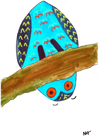Another morning owl Another morning owl